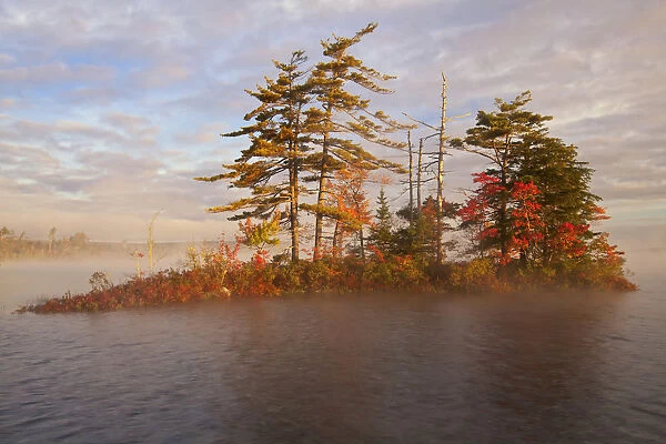 Island And Morning Mist On Grand Lake, oakfield Provincial Park; Nova Scotia, Canada