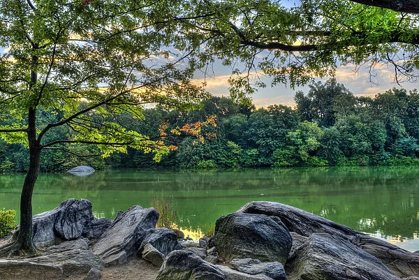 The Lake At The Hernshed, Central Park; New York City, New York, United States Of America