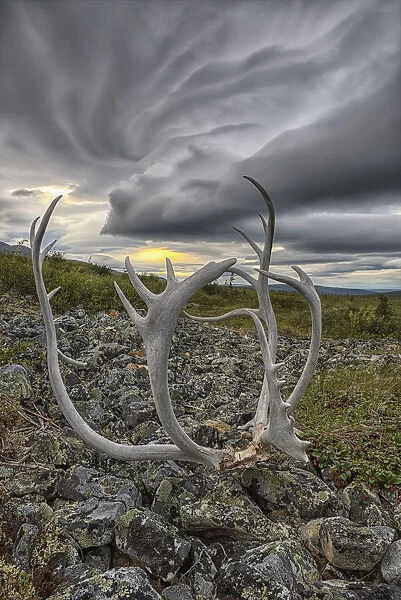 Lenticular Clouds Form Overtop Of Crow Mountain While A Set Of Caribou Antlers Lie On The Rocks; Old Crow, Yukon, Canada