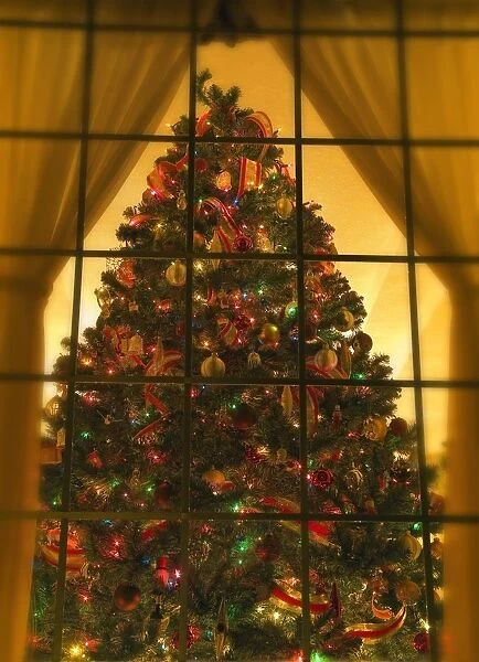 Looking At Indoor Christmas Tree Through Window