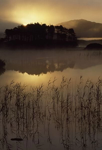 Lough Derryclare, Co Galway, Ireland; Sunset Casting Reflections On Lake