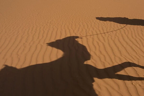 Morocco, Erg Chebbi area; Sahara Desert near Merzouga, Shadow of Berber Blue man leading camel across sand dunes