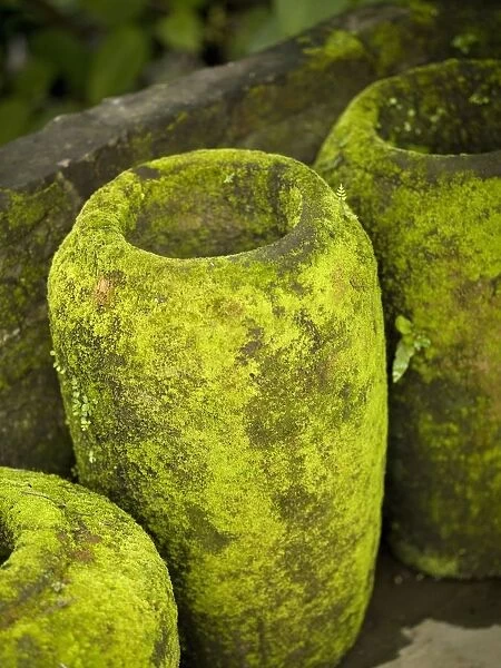 Moss Covered Urns