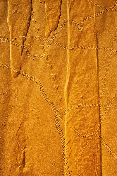 Niger, Sahara Desert; Northern Niger, Patterns and animal tracks on sand