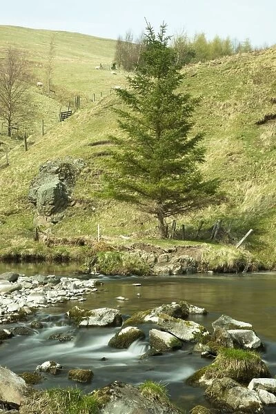 Northumberland, England; A River Flowing Over Rocks By A Hillside