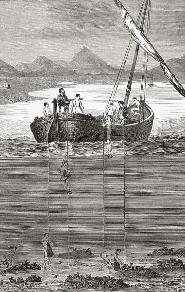 Pearl oyster fishing on the island of Ceylon, 19th century. Freediving, the men, usually naked, carried a heavy skandalopetra, a rounded stone tied on a rope to the boat, to take them down to the bottom of the ocean quickly and carried a basket or net to hold the oysters. From Le Savant du Foyer ou Notions Scientifiques Sur Les Objets Usuels de la Vie, published 1864