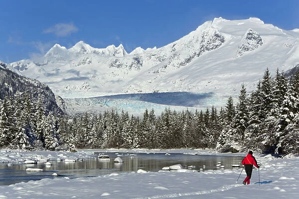 Person Cross-Country Skiing In A Winter Landscape At Mendenhall River With Mendenhall Glacier And Towers In The Background, Tongass National Forest, Southeast Alaska