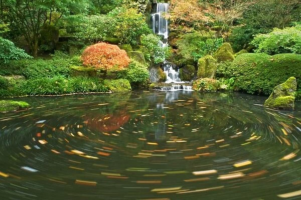Pond, Oregon, United States Of America