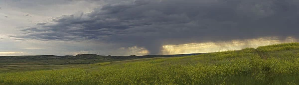Rain From A Thunderstorm Falls Over Grasslands National Park; Saskatchewan, Canada