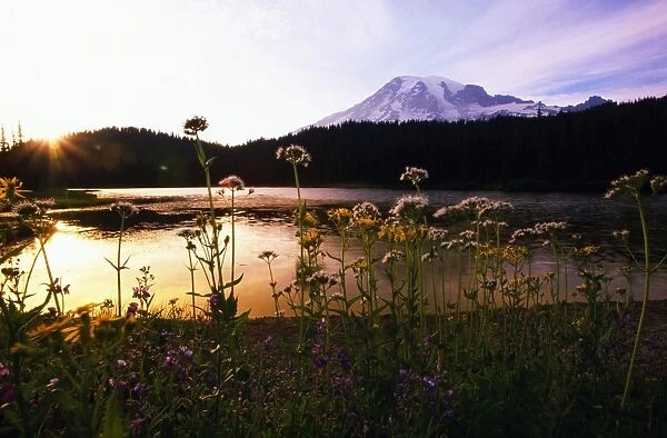 Reflection Lake With Mt. Hood In The Distance, Washington, United States Of America