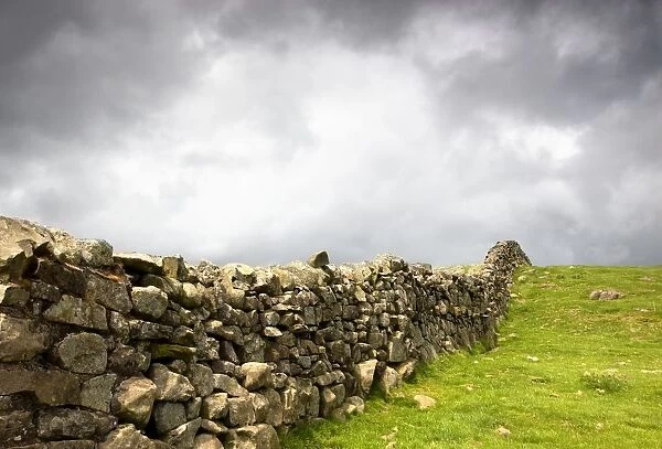 Rustic Stone Fence; Northumberland, England