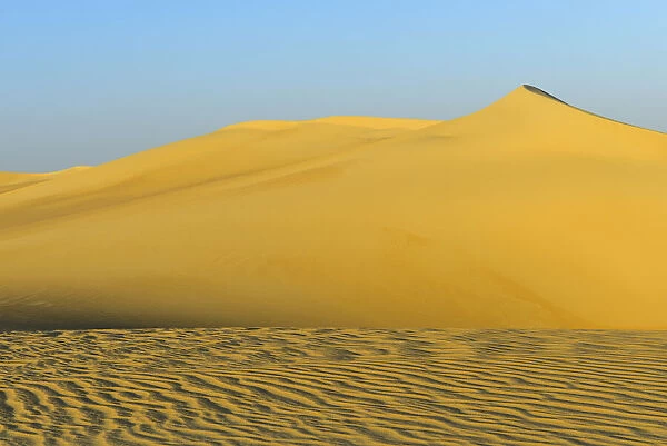 Scenic view of Sand Dunes, Matruh, Great Sand Sea, Libyan Desert, Sahara Desert, Egypt, North Africa, Africa