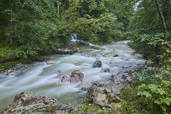 Stream in Berchtesgaden National Park, Berchtesgadener Land, Ramsau, Bavaria, Germany