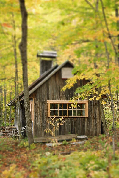 Sugar Cabin In Autumn, Kamouraska Village, Bas-Saint-Laurent Region, Quebec