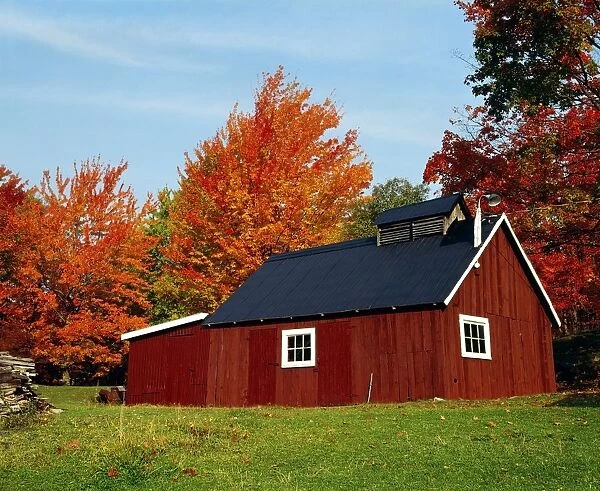 Sugar House With Fall Trees