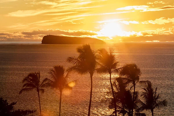 The sun sets behind Molokini with silhouetted palm trees, Maui, Hawaii, USA