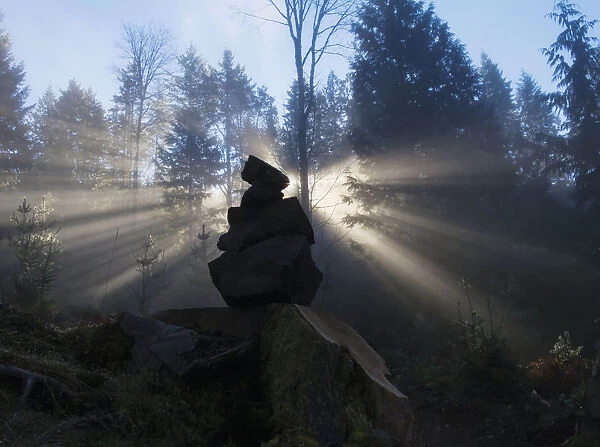 Sun Shines Through An Ishigumi (The Arrangement Of Stones) In Fog And Forest; Vancouver Island, British Columbia, Canada