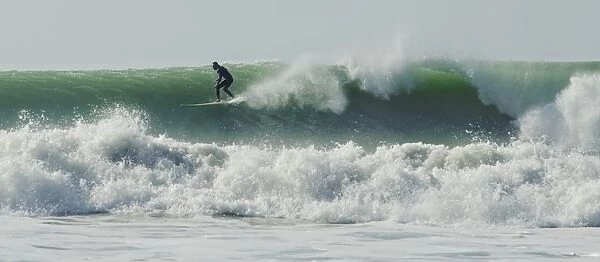 Surfer Up On A Wave