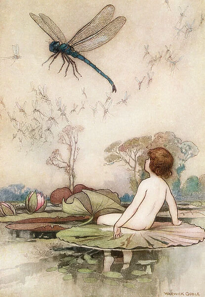 'The thing whirred up into the air, and hung poised on its wings, a dragon fly, king of all the flies'Frontispiece illustration by Warwick Goble. From The Water Babies, published 1922