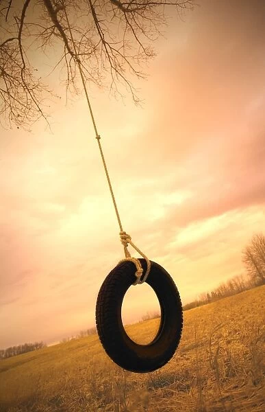 A Tire Swing
