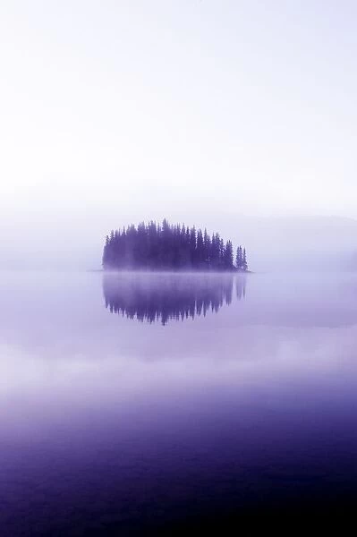 Trees Across A Calm Lake