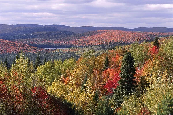 Trees and Mountains in Autumn La Mauricie National Park Quebec, Canada