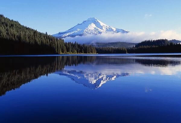 Trillium Lake With Reflection Of Mount Hood, Mount Hood National Forest