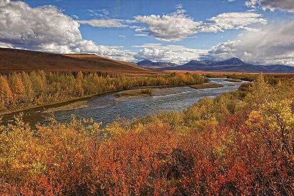 Upper Blackstone River Flowing North Along The Demspter Highway In Autumn; Yukon Canada