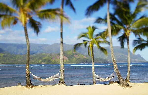 USA, Hawaii, Kauai, Two hammocks hanging between palm trees on sandy tropical beach; Hanalei Bay Princeville