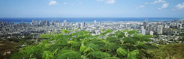 USA, Hawaii, Oahu, Panoramic View Of City Buildings And Greenery From Tantalus Lookout; Honolulu