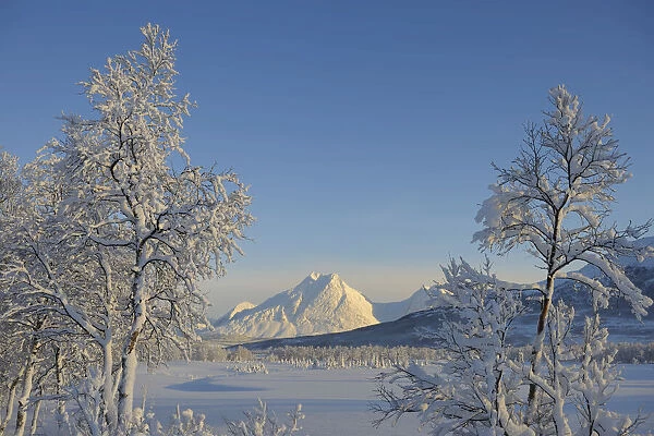 View of Lyngen Alps, Breivikeidet, Troms, Norway