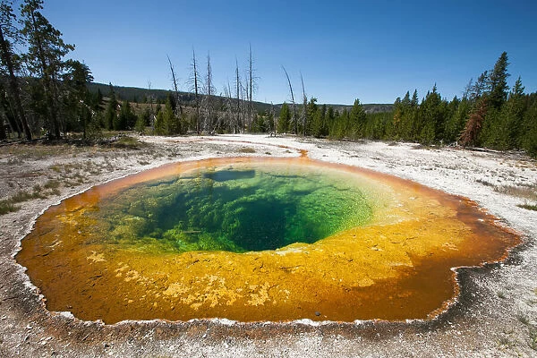 White and colorful mineral deposits from geothermal features in a geyser basin
