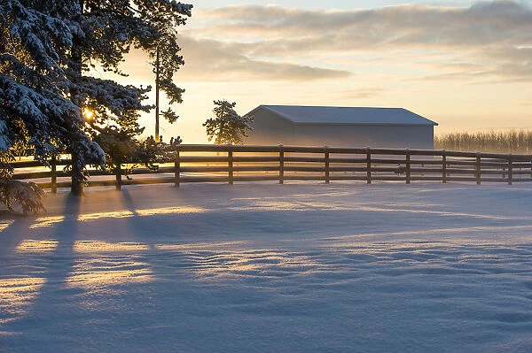 Winter Sunrise At A Ranch; Cremona, Alberta, Canada