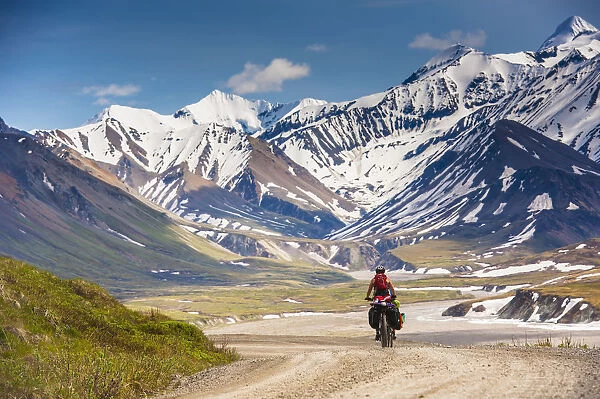 A Woman Bicycle Touring In Denali National Park, Grassy Pass, Southcentral Alaska
