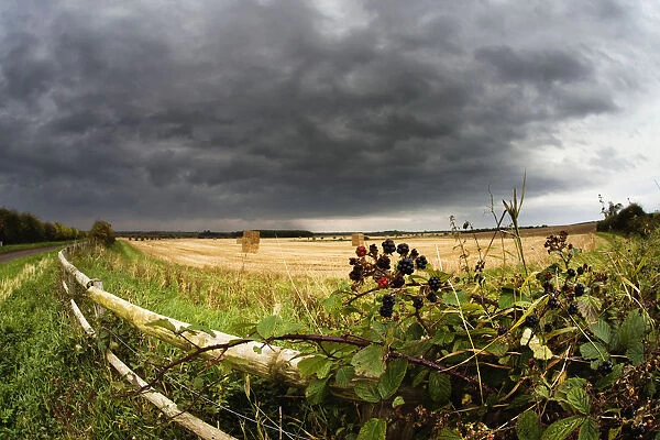 A Wooden Rail Fence Along The Edge Of A Farm Field Under Storm Clouds; Northumberland, England