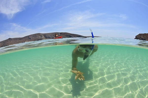 A Young Man Snorkeling Underwater Holding A Starfish In His Hand; La Paz, Baja, California, Sur Mexico