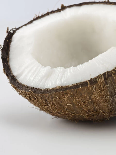 coconut, cocos nucifera