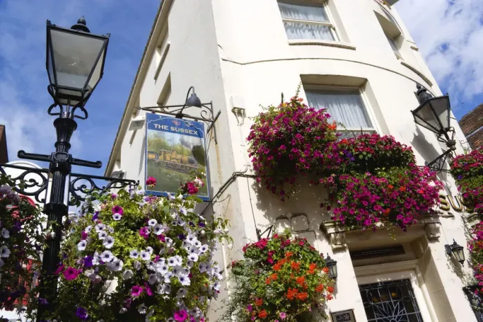 Framed Print : Petunias in Window Boxes - Brighton Print Framed Print : Petunias in Window Boxes - Brighton Print