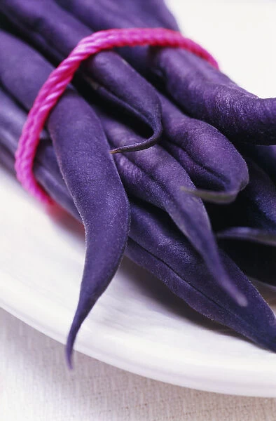 RE_0143. Phaseolus Vulgaris Purple Queen. French Bean. Purple subject. White b / g