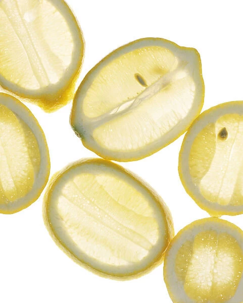 RF_FV05. Citrus limon. Lemon. Yellow subject. White b / g