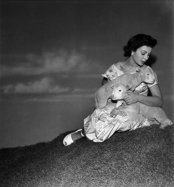 Actress Jean Simmons with Lambs. October 1948 O15147-010