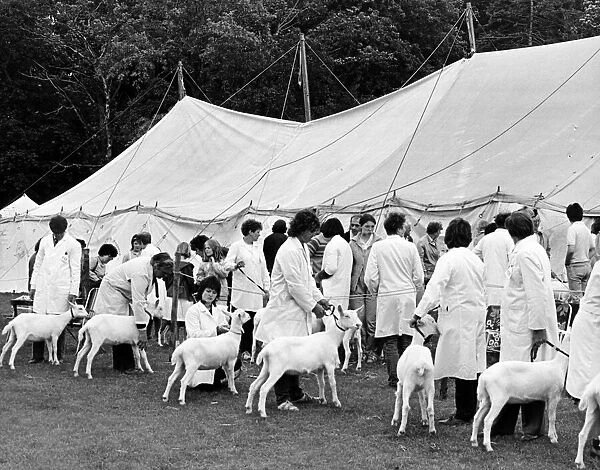 Agricultural Show Cleveland, 27th July 1985. No butts