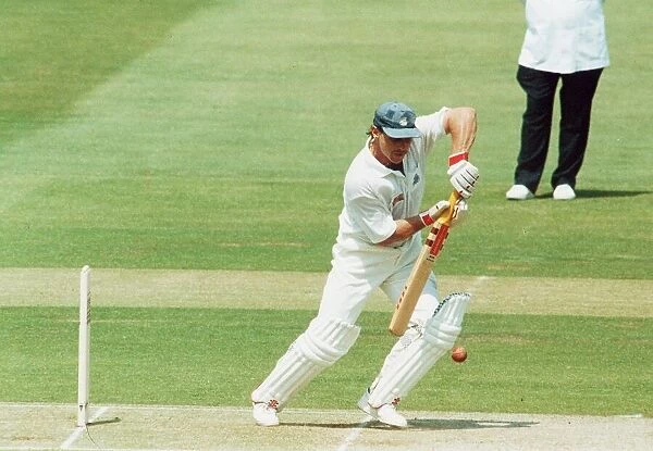 Allan Lamb cricket