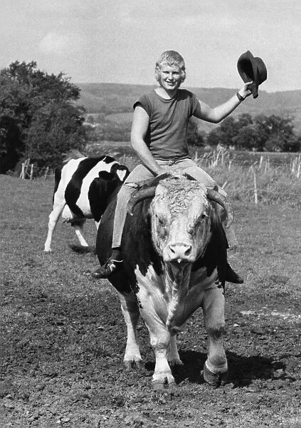 Animals - Cattle - Bulls. Ride Em bullboy... Ian Difford, 21