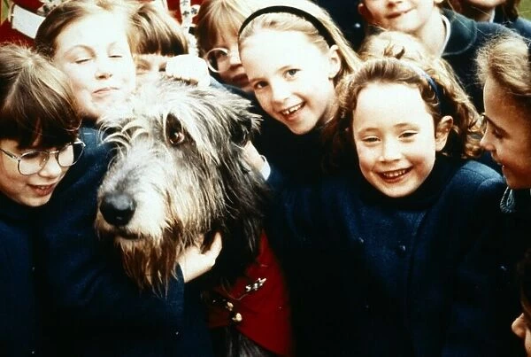 AnIrish Wolfhound dog surrounded by adoring children September 1994