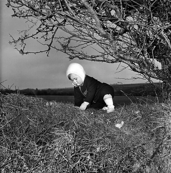 A baby girl crawling around outside. December 1952 C6203