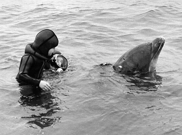 Beaky the dolphin pops up to give some cheek to Nicola and Ken. January 1978 P011853