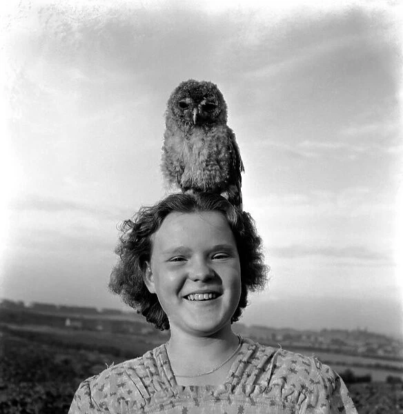 Birds Humour. On me ead son. Kathleen Goddard seen with Toby the owl perch