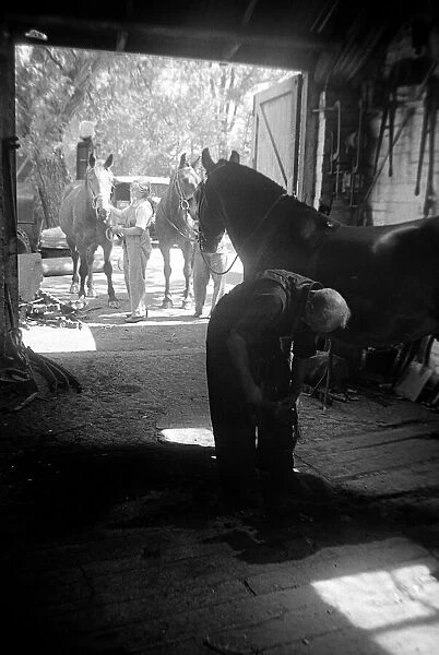 Blacksmith at work on a horse in Godalming, Surrey during the Second World War