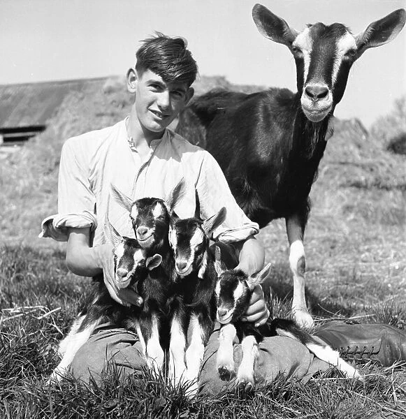 Boy with a goat and kids at Birling Goat Farm. 18th April 1945